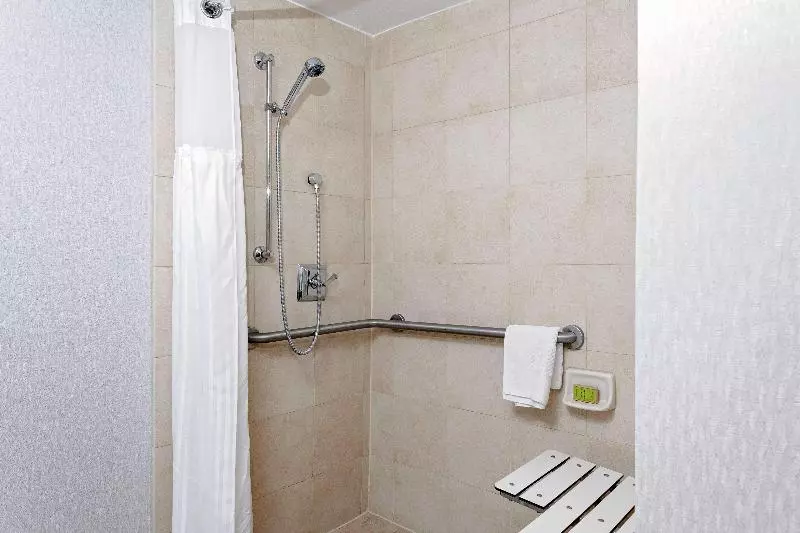 身障者適用キングサイズベッドルーム, Hilton Garden Inn Silao Aeropuerto Bajio