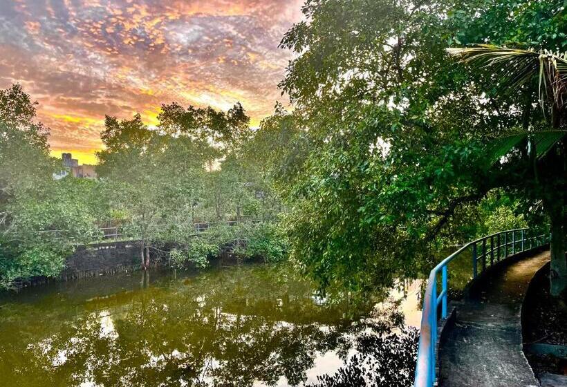 豪华房间, Lagoon Boutique