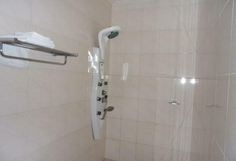 豪华单人间, Residence Flamani