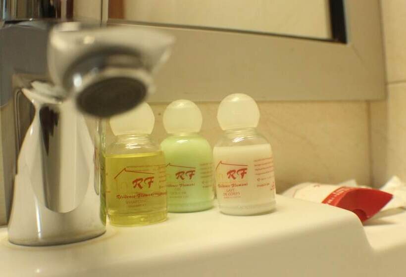 小型套房, Residence Flamani