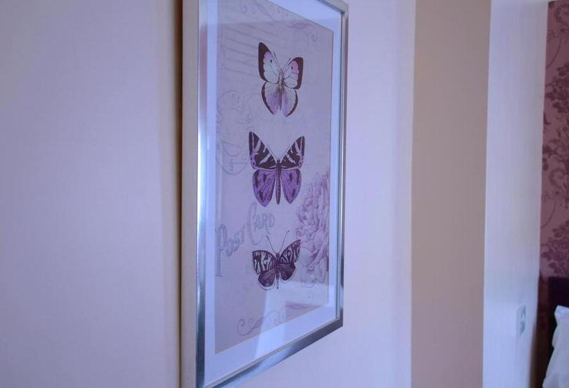 Номер Стандарт, The Lemonfield