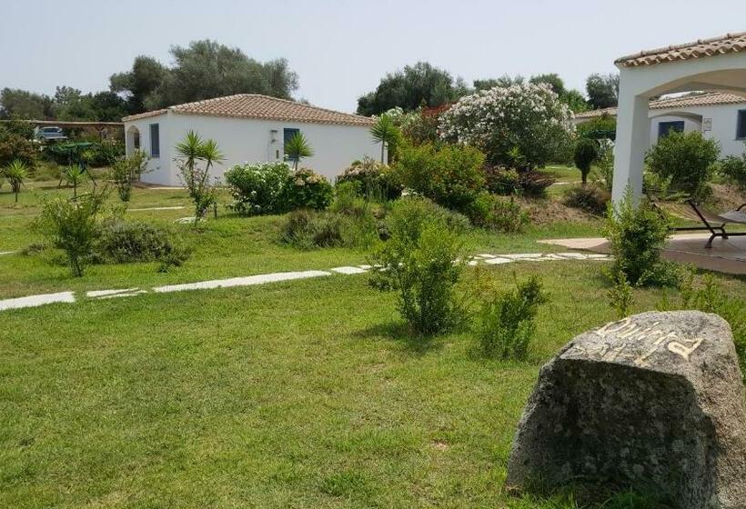 חדר סופריור נוף לבריכה, Baia Cea