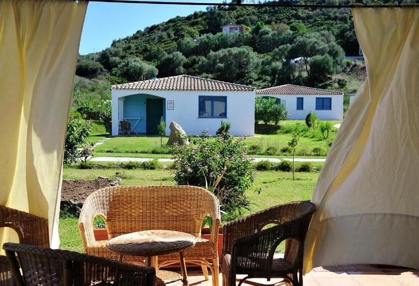 דירת שני חדרים, Baia Cea