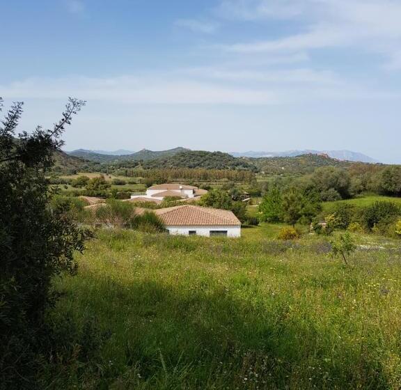 Апартаменты 2 Спальни, Baia Cea