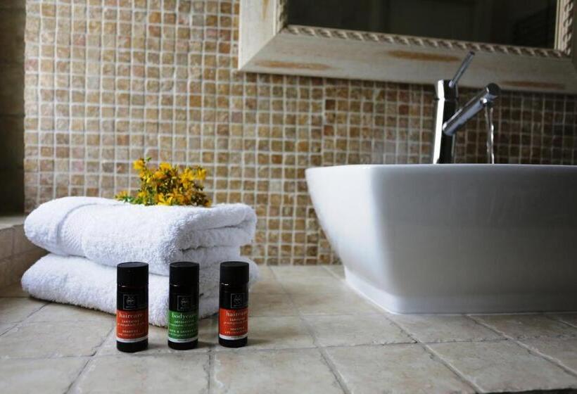 ベーシックルーム, Gamila Rocks Mountain