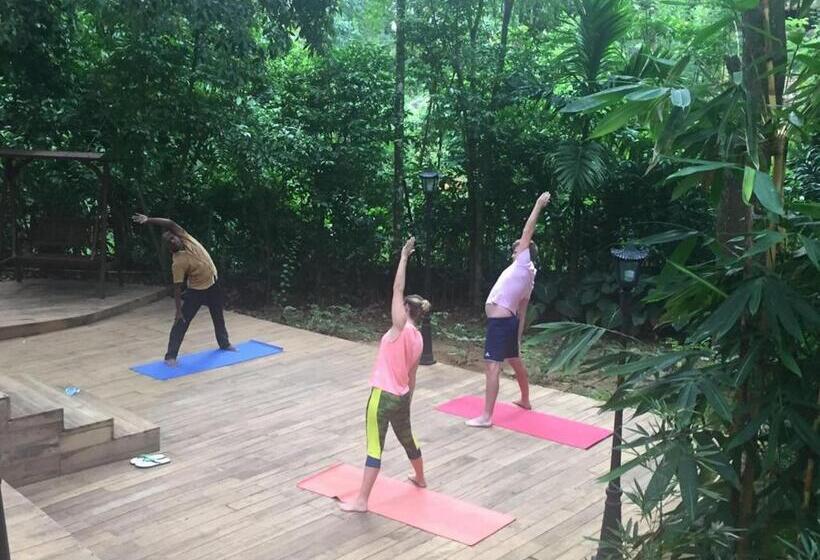 Номер Deluxe, Le Leopard D 'argent