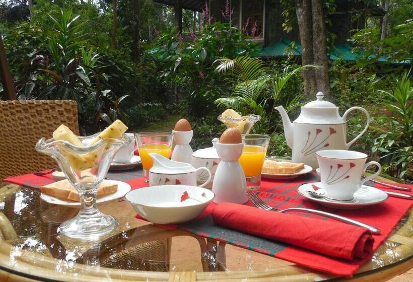 Трехместный Номер Deluxe, Le Leopard D 'argent