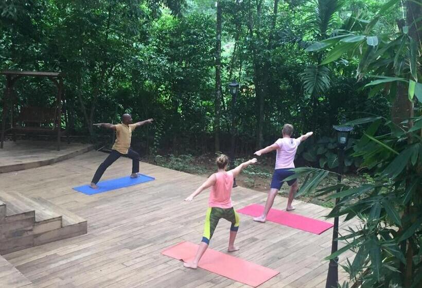 Студио Стандарт с Террасой, Le Leopard D 'argent