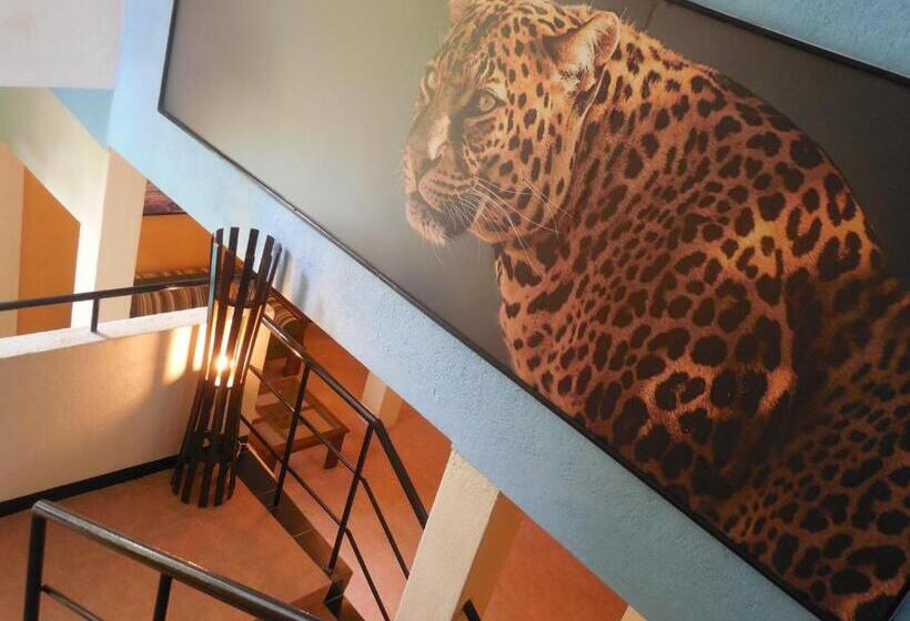 Студио Стандарт с Террасой, Le Leopard D 'argent