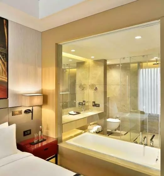 Bisneshuone, Radisson Blu Faridabad