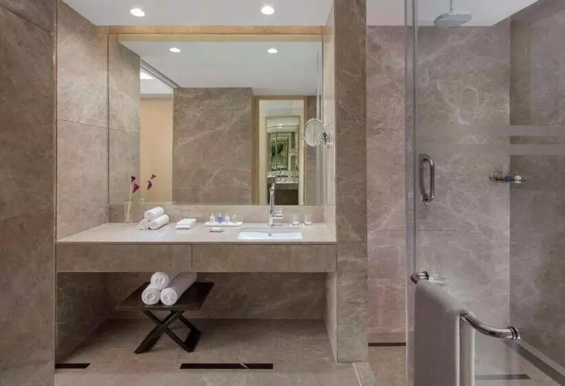 Superior-huone, Radisson Blu Faridabad