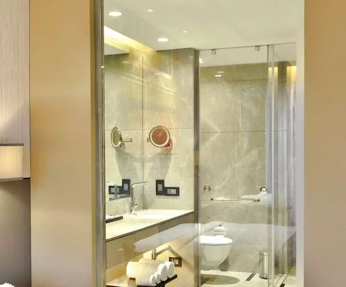 Superior-huone, Radisson Blu Faridabad