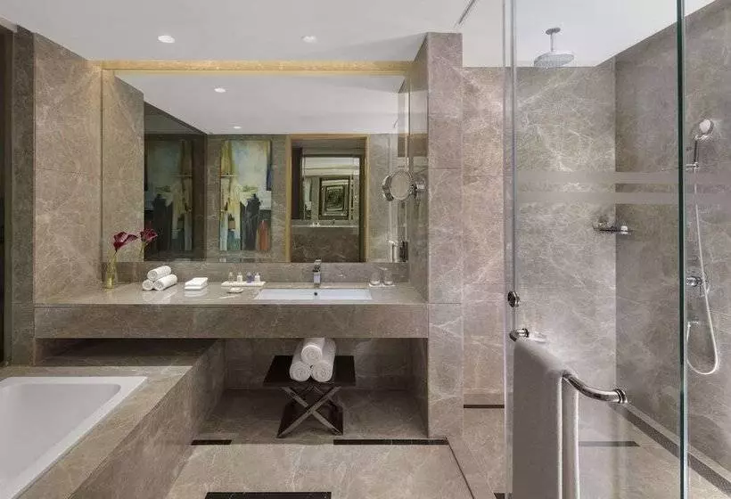 Bisneshuone, Radisson Blu Faridabad