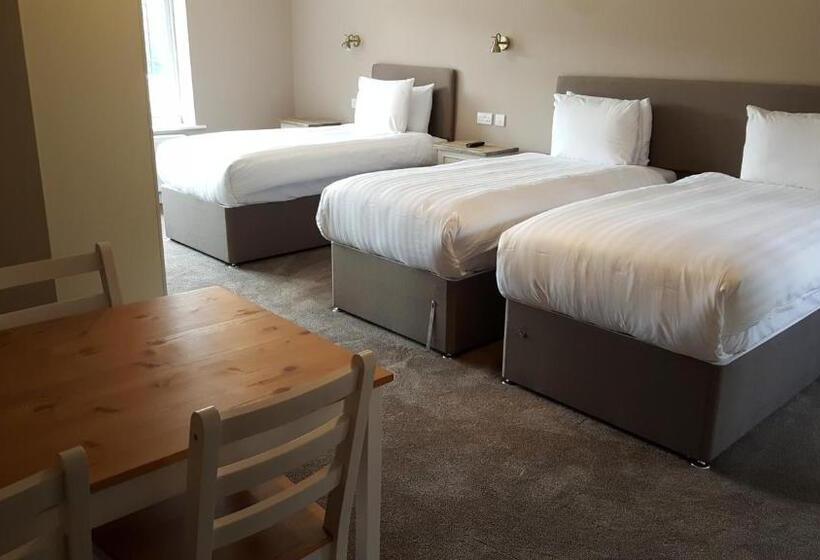 Студия Стандарт, Rye Court