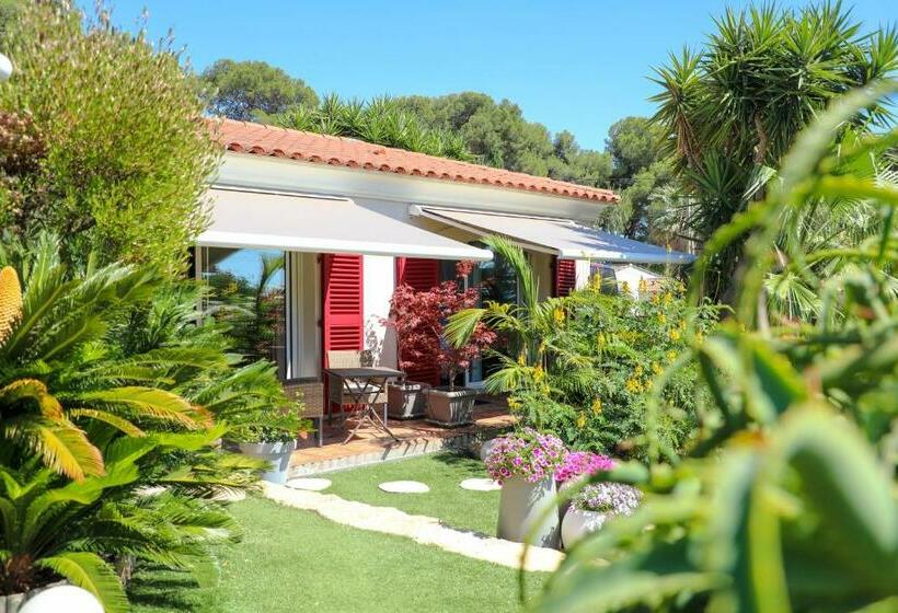 Номер Стандарт, B&b Val D Azur