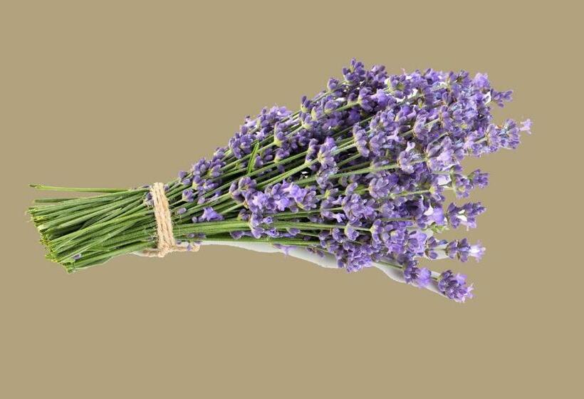 Deluxerum King Size Säng, La Rivayne