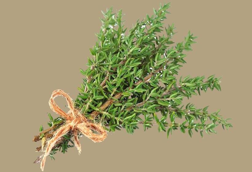 Deluxerum King Size Säng, La Rivayne