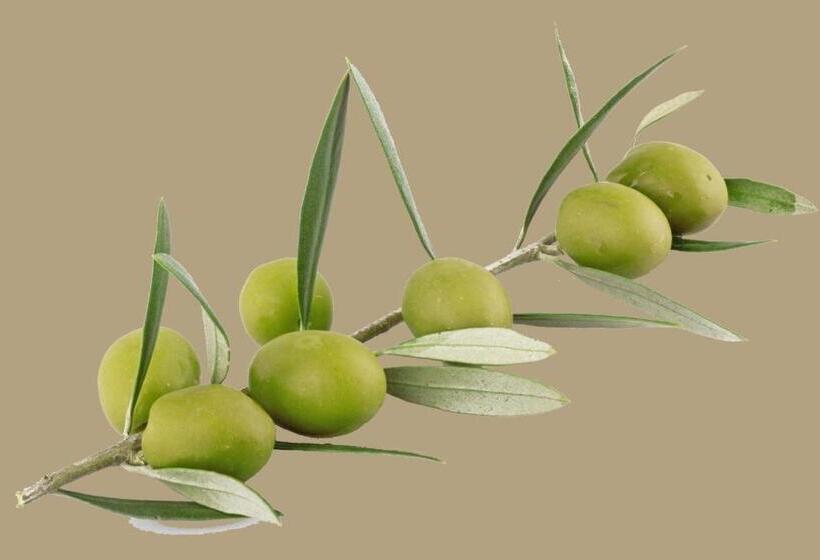 Deluxerum King Size Säng, La Rivayne