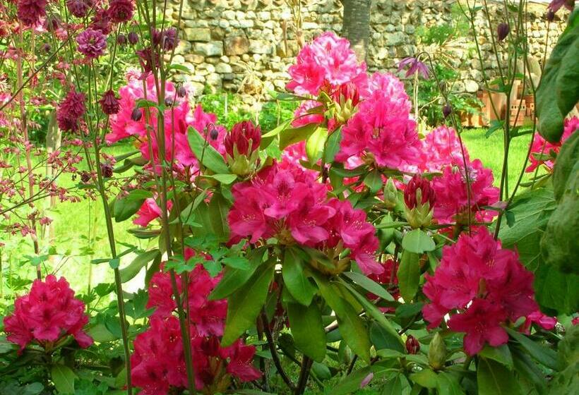 Номер Стандарт, Le Logis Du Four