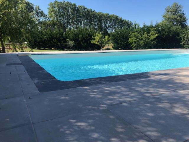 Номер Стандарт, Les Centaurines