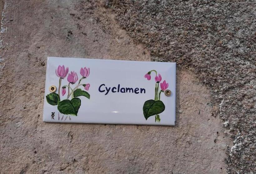 シングルデラックスルーム, Villa Du Cerf Thibault