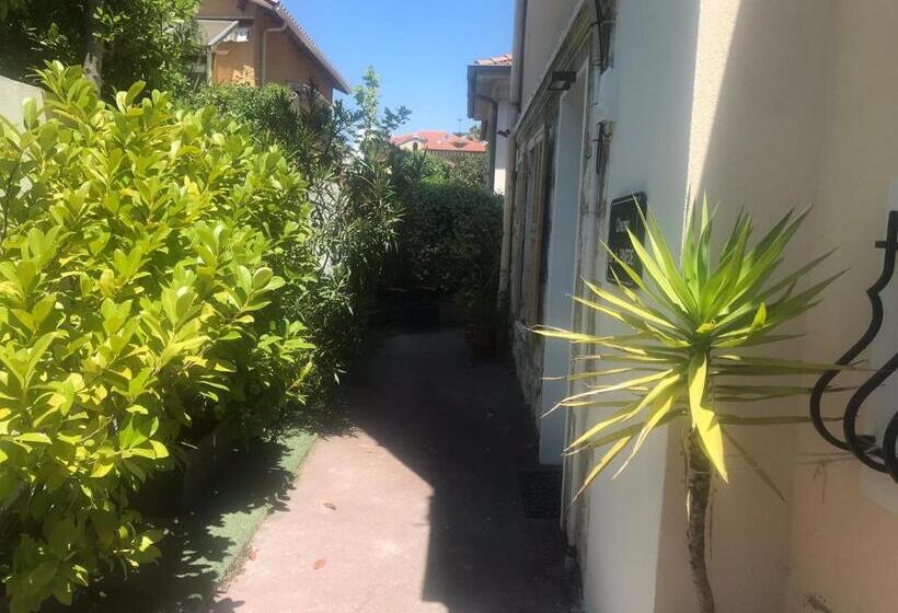 스탠다드 스튜디오, Villa Mon Rêve Apartements