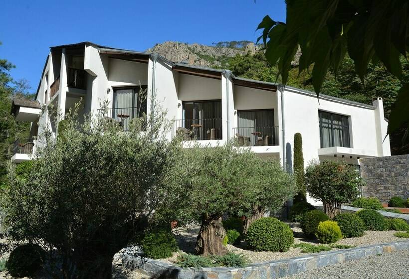 Номер Стандарт, Dominique Colonna