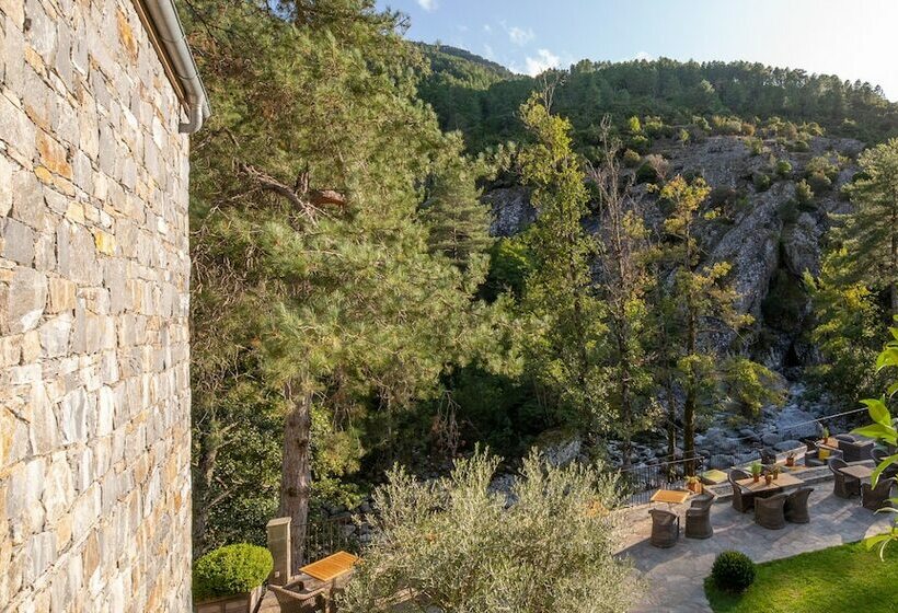 Номер Стандарт, Dominique Colonna