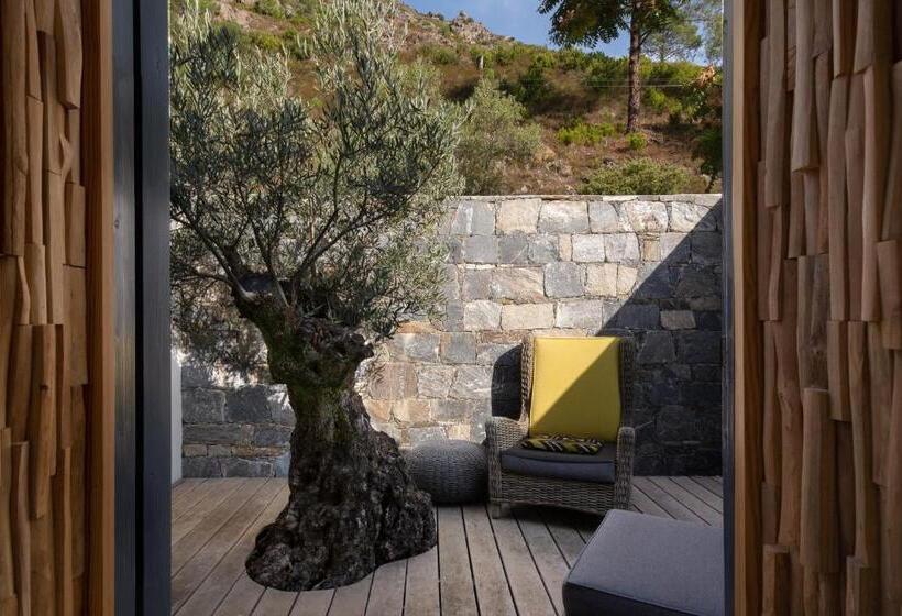 Полулюкс Одноместный с Террасой, Dominique Colonna