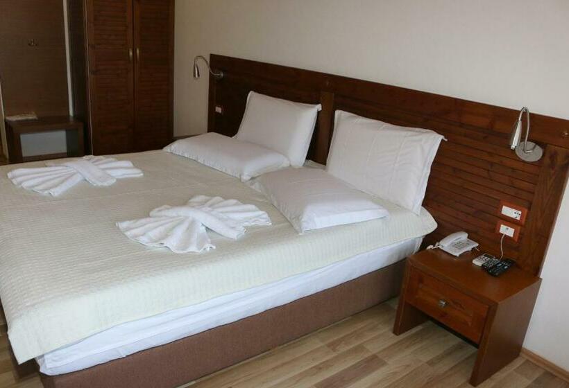 スタンダードシティビュールーム, Kodra