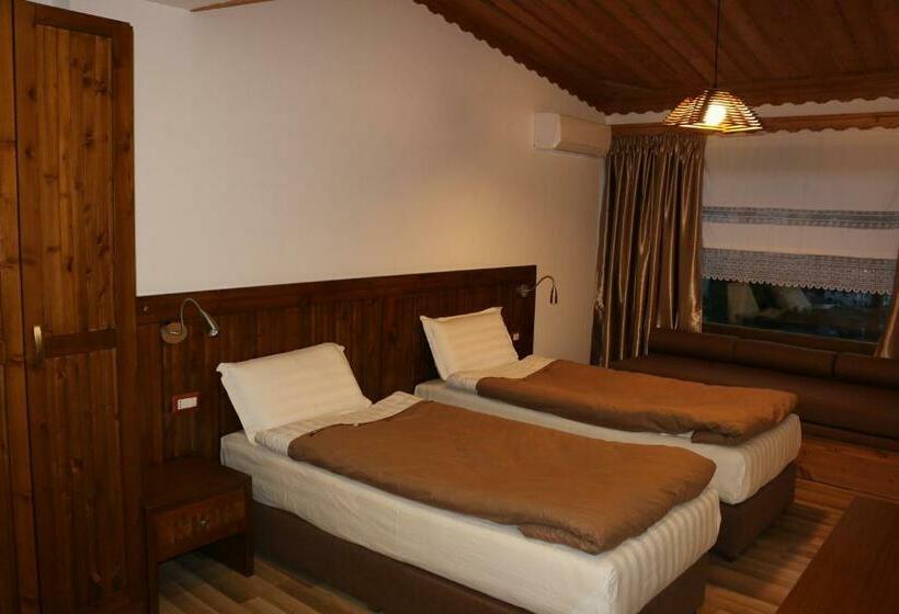 スタンダードルーム, Kodra