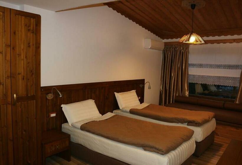 スタンダードルーム, Kodra