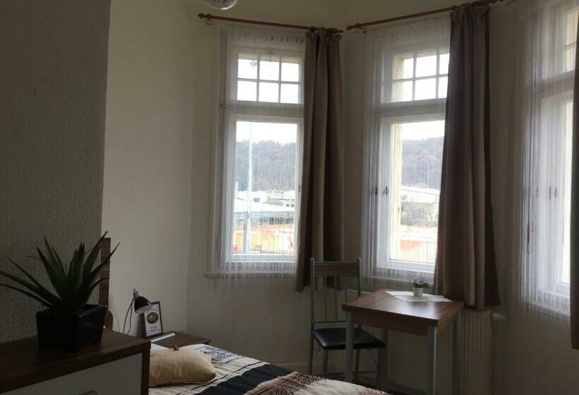 스탠다드 싱글 룸, Pension Villa Else