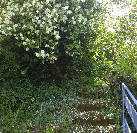 标准房带园景, Moulin De Cornevis Bed And Breakfast