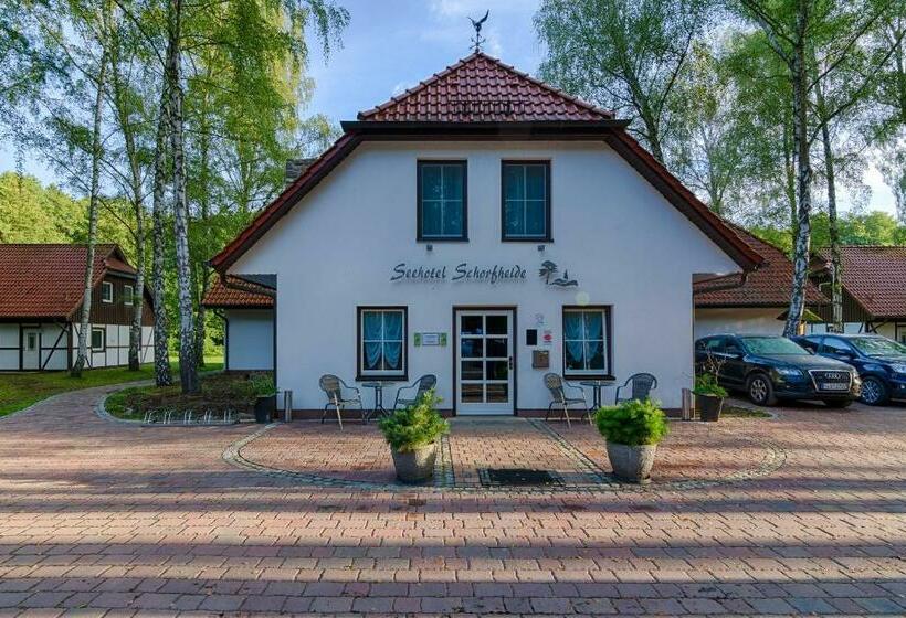 テラス付きスタンダードルーム, Seehotel Schorfheide