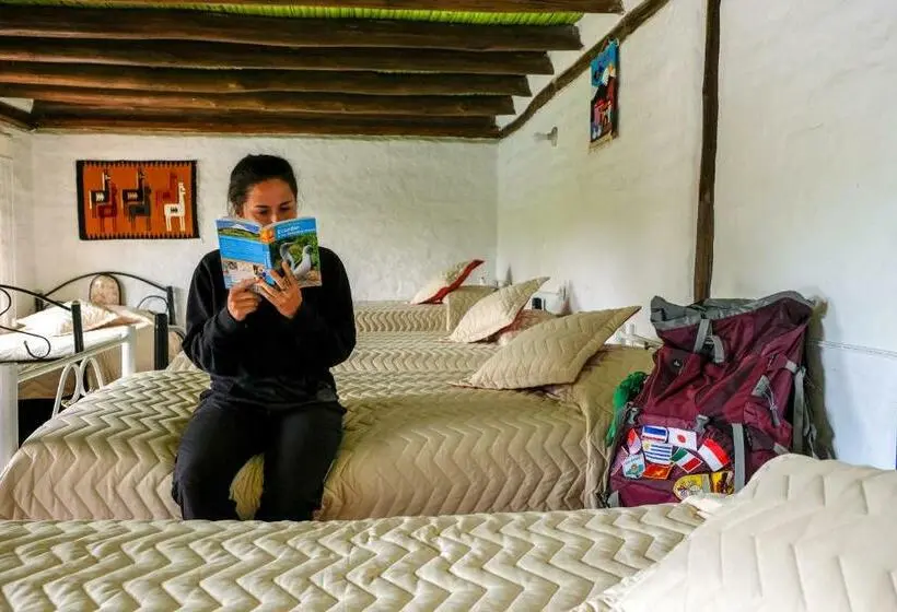 تختخواب در اتاق مشترک, Hosteria Colibri Aeropuerto