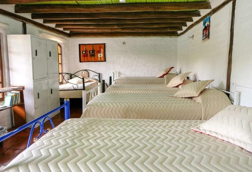 ルームシェアのワンベッド, Hosteria Colibri Aeropuerto