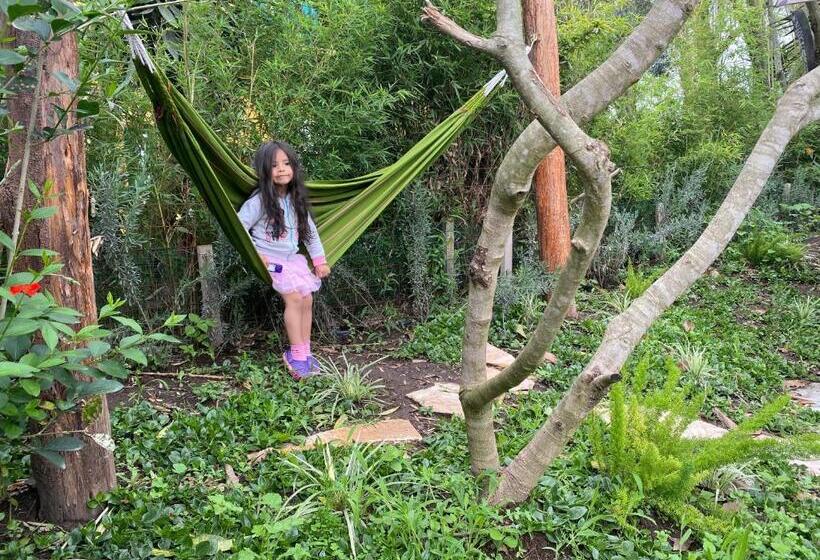 ジュニアスイート, Hosteria Colibri Aeropuerto