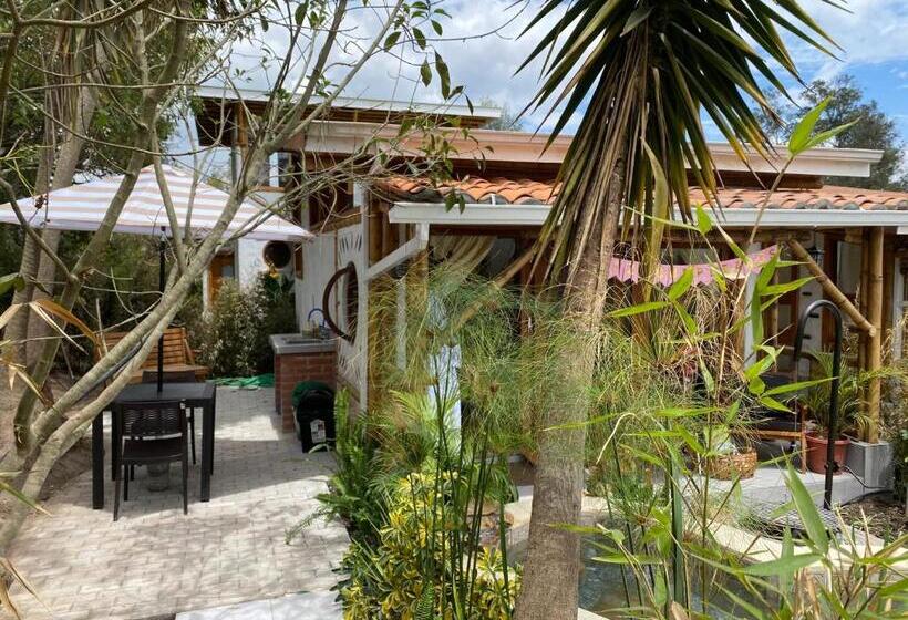 ジュニアスイート, Hosteria Colibri Aeropuerto