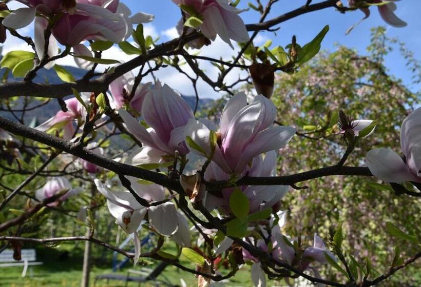 Номер Стандарт, Angerburg Blumen
