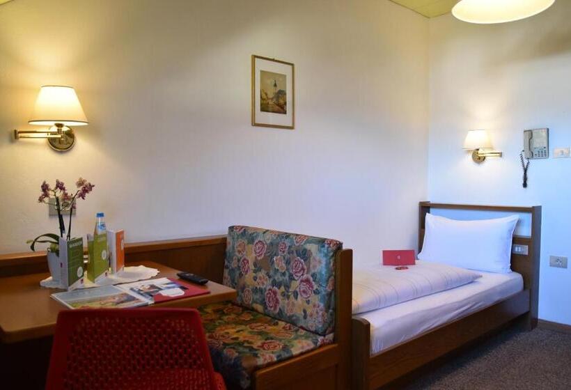 Номер Economy Индивидуальный, Angerburg Blumen