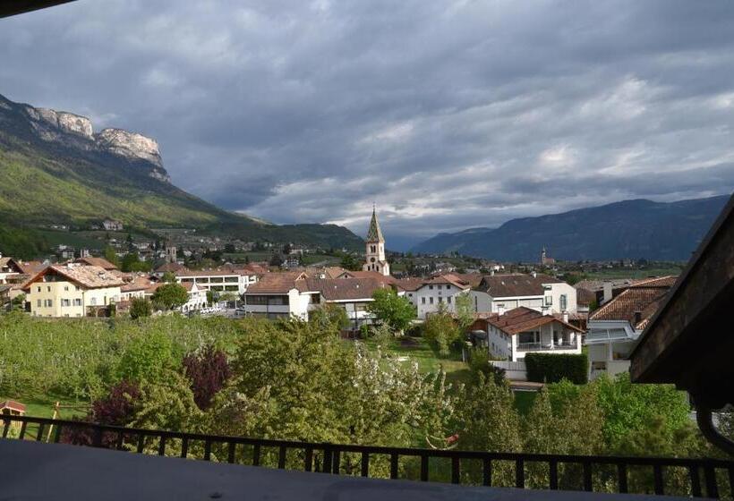 Номер Economy Индивидуальный, Angerburg Blumen