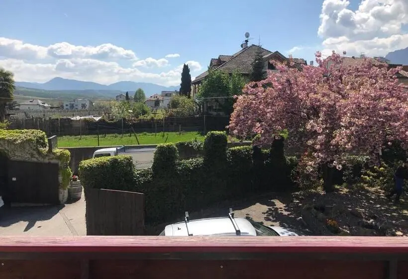 Deluxe-huone Parveke, Angerburg Blumen