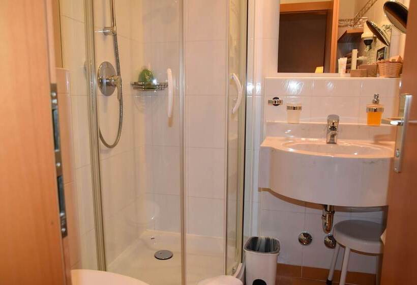 Одноместный Номер Basic, Angerburg Blumen