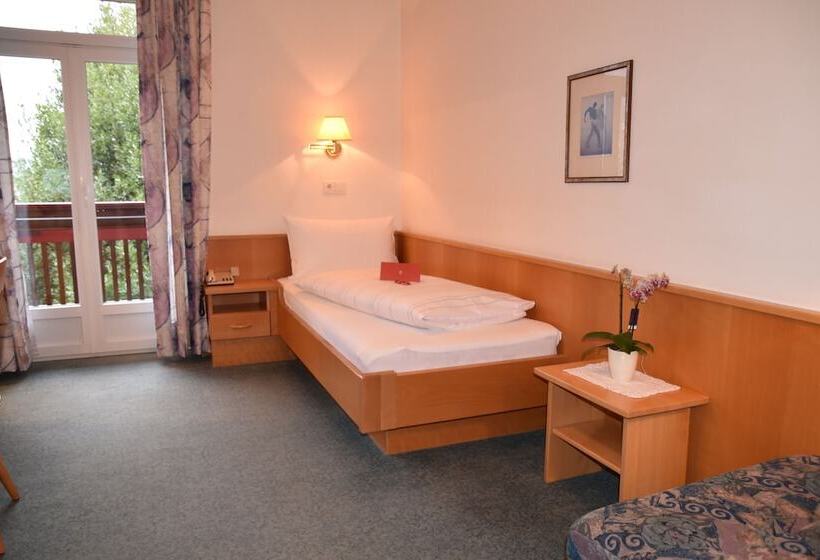 Одноместный Номер Basic, Angerburg Blumen