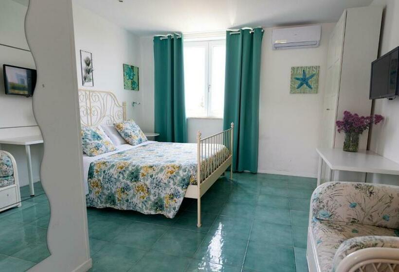 استودیوی استاندارد, Casamediterranea