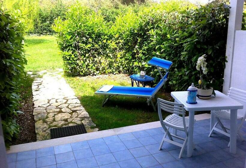 استودیوی استاندارد, Casamediterranea