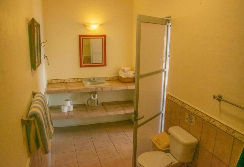 オーシャンビュースタンダードルーム, La Ventana Beach Resort