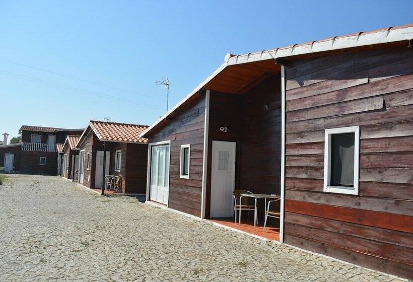 اتاق اکونومی, Lusitaurus