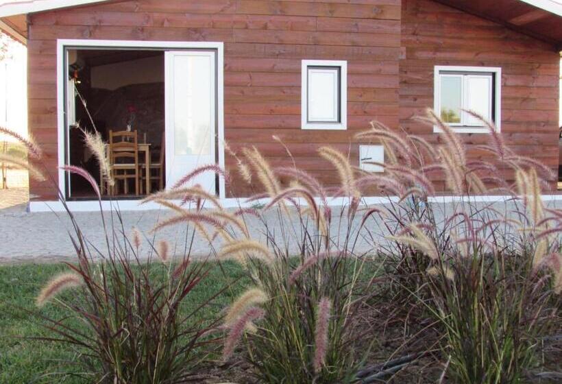 بانگلوی استاندارد, Lusitaurus